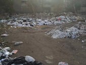 شيرين رضا تصف مدينة السينما بـ"مدينة الزبالين" بسبب انتشار القمامة