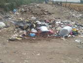 صحافة المواطن.. القمامة تحاصر كفر كردى بالقليوبية والأهالى يستغيثون