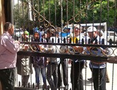 عاملو استصلاح الأراضى يتظاهرون أمام وزارة الزراعة للمطالبة بتعيين 323 مؤقتا