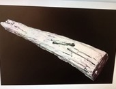 ننشر أول صور باستخدام تقنية التصوير ثلاثى الأبعاد لتوثيق أخشاب مركب خوفو