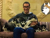 بالفيديو.. خطوات بسيطة يجب معرفتها قبل اقتناء الكلاب وكيفية التعامل معها