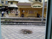 "اليوم السابع واتس آب": قارئ يطالب بإغاثة معاق دائم الجلوس بمحطة ترام