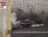بالفيديو.. مشاهد صادمة لمواطن يشارك قطة الأكل من القمامة فى وسط البلد