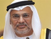 وزير الخارجية الإماراتى: توجهنا فى الحرب ضد الإرهاب صحيحا