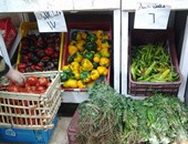 أسعار الخضراوات فى منافذ "الأهرام للمجمعات الاستهلاكية" بالقاهرة والجيزة