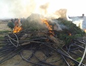 عاطلان يشعلان النيران فى مزرعة ماشية بسبب خلافات مع مالكها بالجيزة