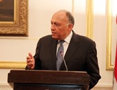 سامح شكرى: تفاهم مصرى جزائرى يخدم القضايا الإقليمية والتضامن العربى