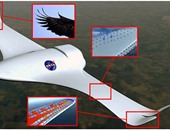 بالصور.. تصميمات جديدة على شكل الطيور للطائرات المدنية عام 2050