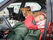 بريطانية عاشت لمدة 4 أشهر فى سيارتها كى لا تفرط فى كلابها