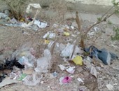 "اليوم السابع واتس آب": بالصور.. تكدس القمامة بمساكن الجيزة فى المقطم