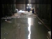"واتس آب اليوم السابع": مياه الصرف الصحى تغرق شارع بمنطقة وراق العرب