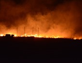 حريق هائل يلتهم أشجار النخيل بكورنيش أسوان والدفع بـ9 سيارات إطفاء