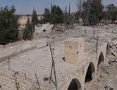 إيطاليا تعتزم إرسال فريق حماية التراث الثقافى إلى مدينة "تدمر" السورية