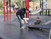 شاب يجرى تجربة لإثبات سهولة اختطاف الأطفال باستخدام "كلب"