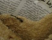 واتس آب اليوم السابع: قارئ يرسل صورة لـ"حشرة" فى رغيف خبز مدعم بالجيزة
