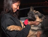 بالفيديو.. كلب يتعرف على عائلته بعد انفصاله عنها لمدة 3 سنوات