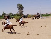 الشرقية تستعد لبدء فعاليات مهرجان "الخيول العربية " الـ22 يوم 14 سبتمبر الجارى 