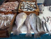 التموين تكثف حملاتها وتضبط 68 طن أسماك ولحوم منتهية الصلاحية بالأسواق