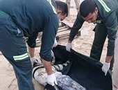 مصدر بمديرية أمن البحر الأحمر: جثة سائق الغردقة مصابة بطلق نارى ميرى