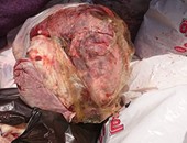 ضبط كمية من اللحوم الفاسدة فى الفيوم وإعدامها