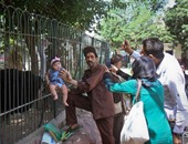 محافظة الجيزة تخصص 250 ألف كيس قمامة لتوزيعها على الحدائق خلال العيد