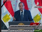 السيسي: تعامل مؤسسات الدولة مع أزمة الطائرة المصرية تم بشكل جيد