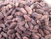 بالفيديو.. ياميش الغلابة يسجل ارتفاعا بالأسواق.. وستات بيوت عن سعر البلح: “كل واحد على قد مقدرته”