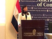 داليا خورشيد: حجم الزيادة فى الاستثمارات الامريكية فى مصر 2.33 مليار دولار