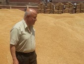 وفد من وزارتى الزراعة والبيئة لتفقد الكومات السمادية من قش الأرز بالغربية