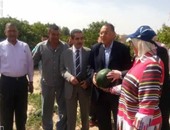 بالصور.. رئيس جامعة القناة يفتتح موسم موسم حصاد البطيخ بمزرعة كلية الزراعة