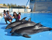 عماد متعب يشارك فى تصوير إعلان بالأهلي