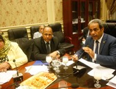 لجنة حقوق الإنسان بالبرلمان: مصر تسير نحو استقرار حقيقي فى مختلف المجالات