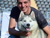 كلب مصرى يشارك فى بطولة العالم للكلاب ويصنف ضمن أجمل 10 "سيبريان هسكى"