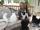 بريطانية تربى 122 قطة وتنفق على طعامهم 500 جنيه إسترلينى أسبوعيًا