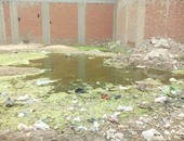 "واتس آب اليوم السابع": منطقة برك الخيم بكرداسة تغرق فى الصرف والقمامة