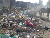 واتس آب اليوم السابع: أهالى ناهيا يستغيثون من انقطاع المياه وسوء الصرف