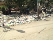 أهالى أبو كبير بالشرقية لـ"محلب":أكوام القمامة تملأ شوارع المدينة