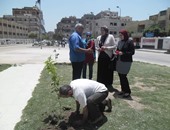 حملة جماهيرية لتجميل شوارع دمنهور بأشجار الفواكه بدلا من الزينة