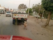 واتس آب اليوم السابع: بالصور..سائق يجر كلبا وراء سيارته على سرعة 80 كم