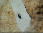 "واتس آب اليوم السابع ": قارئ بالبحيرة يعثر على "صرصار" داخل رغيف خبز