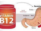  فيتامين B12 يحافظ على مخك ويحميك من الأنيميا والتعب 