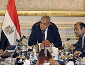 الحكومة تشكل لجنة من 4 وزراء لحل أزمة القطن المصرى