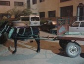 "واتس آب اليوم السابع":سيارة "كارو بحمار"داخل فناء مستشفى الشرقية العام