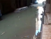 صحافة المواطن: بالفيديو.. شوارع وراق العرب تعوم فى بركة من مياه الصرف الصحى
