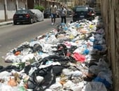 سوزان بدوى تكتب: مشروع قومى للقضاء على مشكلة القمامة