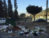صحافة المواطن.. انتشار القمامة وغياب الأمن بالشوارع المجاورة لمنظمة الصحة العالمية