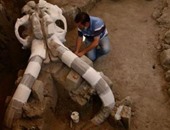 بالصور.. العثور على بقايا حيوان ماموث عمره 14 ألف عام فى المكسيك بالصدفة