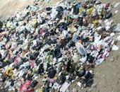 صحافة المواطن: بالصور.. القمامة تحاصر منازل وشوارع عزبة الشال بالدقهلية
