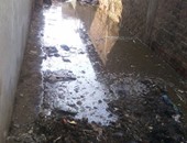 بالصور.. شوارع كفر الحمام فى الشرقية تعوم فوق مياه الصرف والأهالى يستغيثون