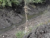 صحافة مواطن:بالصور.. نقص المياه فى الترع يهدد بتجريف أراضى زراعية بالمنيا
